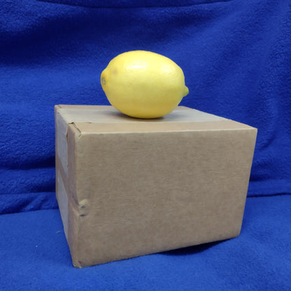 Cardboard Boxes (10 Pack)
