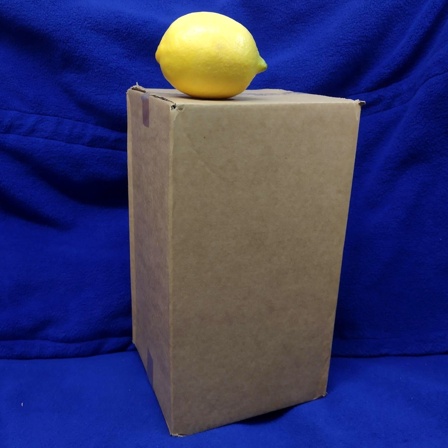 Cardboard Boxes (10 Pack)