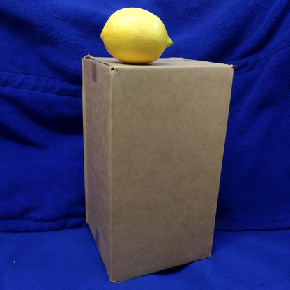 Cardboard Boxes (10 Pack)