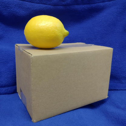 Cardboard Boxes (10 Pack)