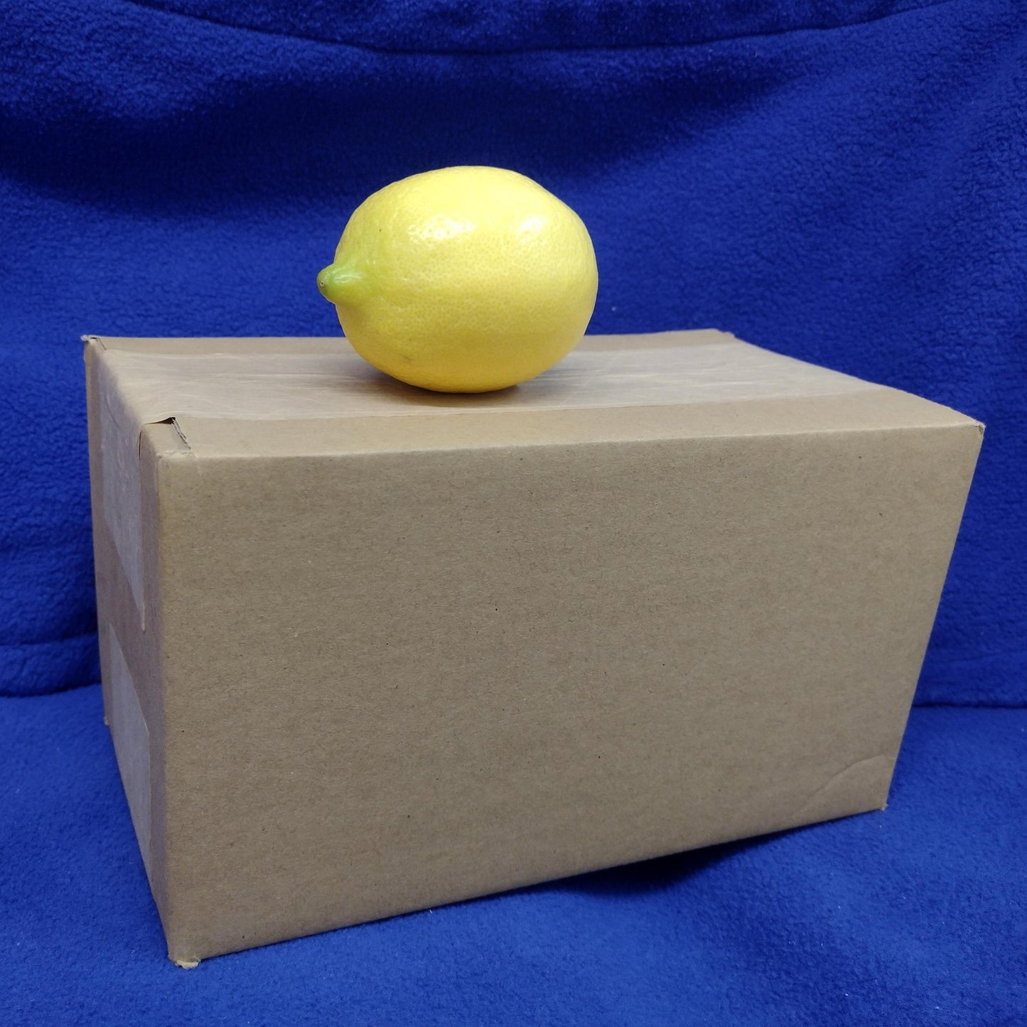 Cardboard Boxes (10 Pack)