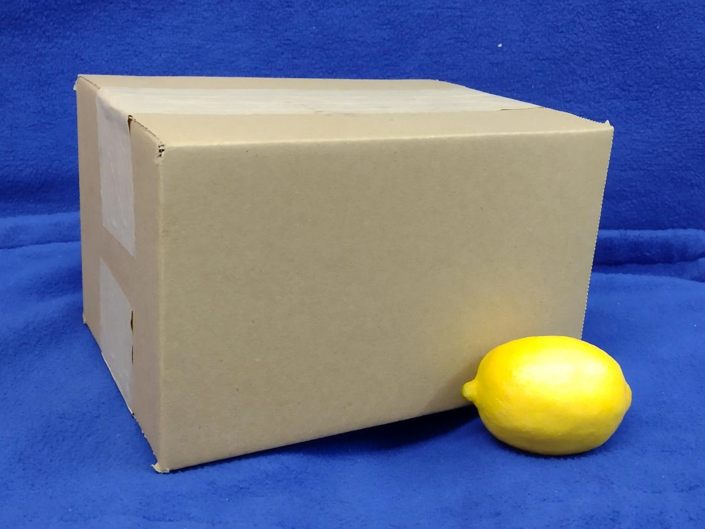 Cardboard Boxes (10 Pack)