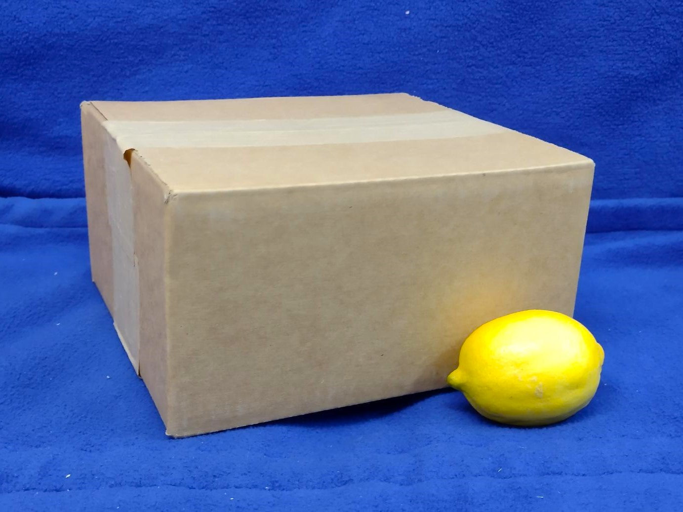 Cardboard Boxes (10 Pack)