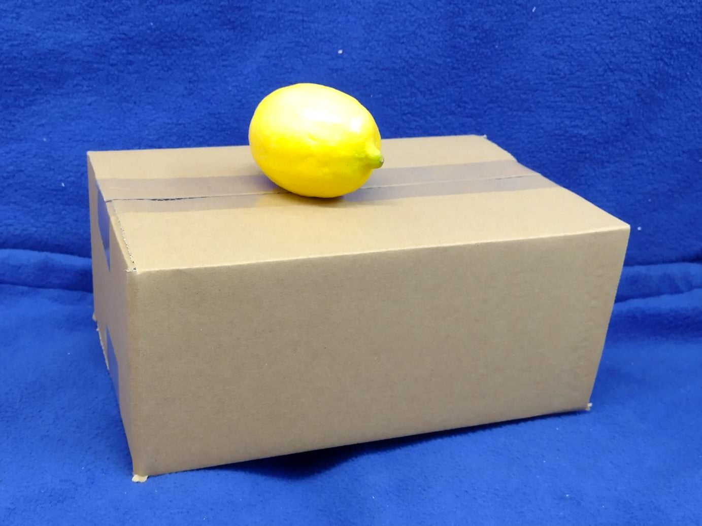 Cardboard Boxes (10 Pack)
