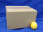 Cardboard Boxes (10 Pack)