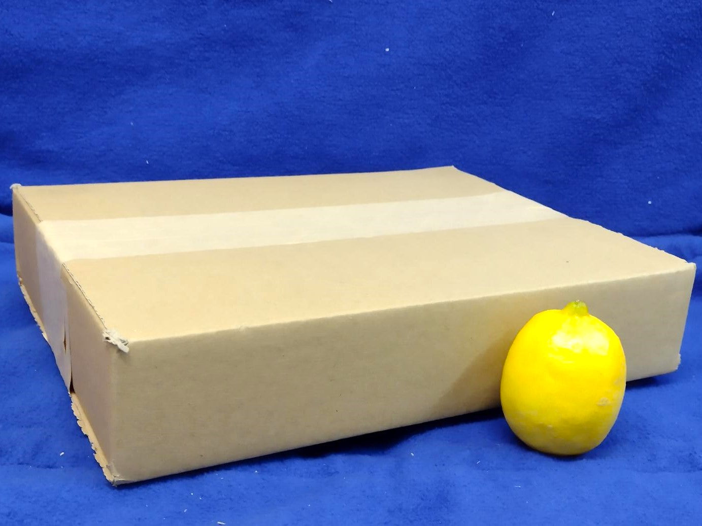 Cardboard Boxes (10 Pack)